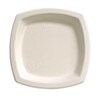 Sugarcane Square Plate.jpg