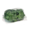 TRI23360.png