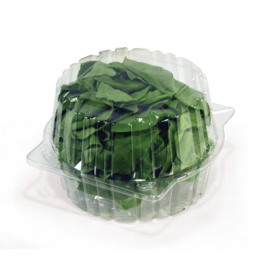 NexDay Supply TRI2729 Single Butter Lettuce Clear Hinged Container