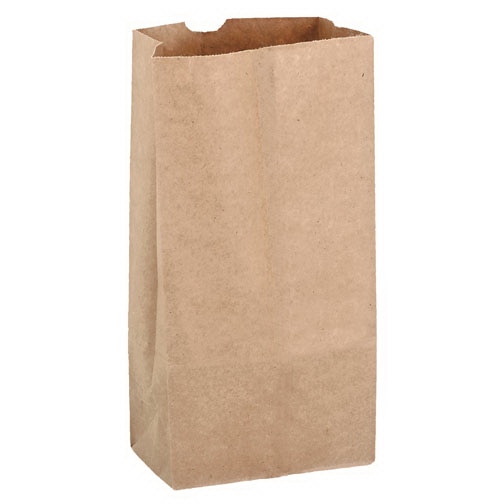 1000400C00 4LB C/R KRAFT LIGHT BAG, 4.88 x 3 x 9.75”, 500/case